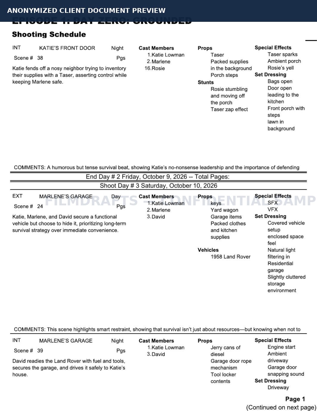 Anonymized project document page 3